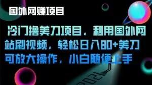 冷门撸美刀项目，利用国外网站刷视频，轻松日入80+美刀，可放大操作，小白随便上手-Zv头条