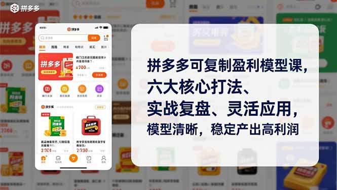 拼多多可复制盈利模型课，六大核心打法、实战复盘、灵活应用，模型清晰，稳定产出高利润-站长V课