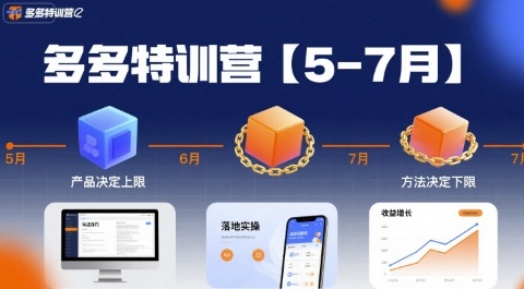 多多特训营，产品决定上限，方法决定下限，各种玩法技巧落地实操(更新)-站长V课