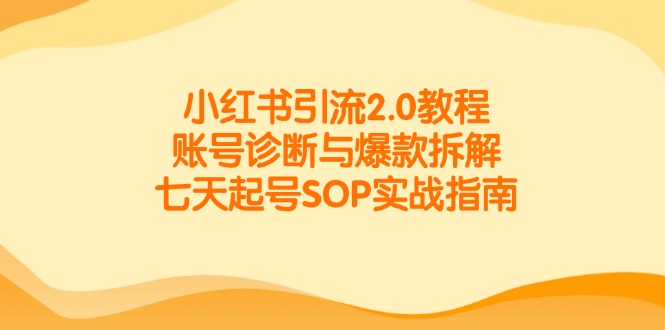 小红书引流2.0教程，账号诊断与爆款拆解，七天起号SOP实战指南-Zv头条