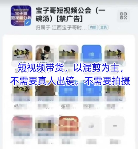 宝子哥头部团队短视频带货，以混剪为主，不需要真人出镜，不需要拍摄【更新11月】-站长V课
