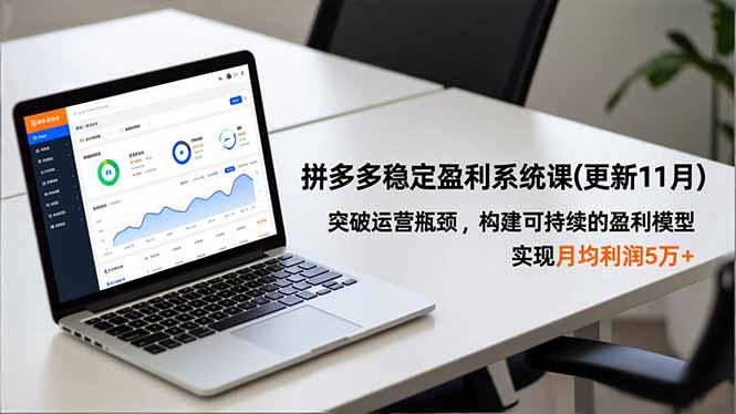拼多多稳定盈利系统课(更新11月-站长V课