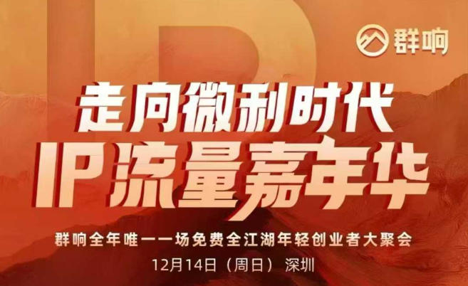 2025ip嘉年华万人12月14深圳线下课，走向微利时代，IP流量嘉年华，实操性极强的商业干货课-站长V课