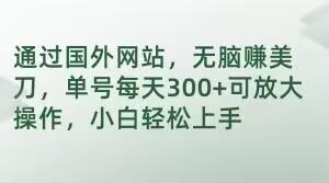 通过国外网站，无脑赚美刀，单号每天300+可放大操作，小白轻松上手【揭秘】-Zv头条