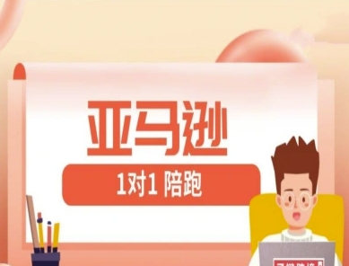 亚马逊1对1陪跑课(FBA/FBM精铺)跨境亚马逊教程-Zv头条