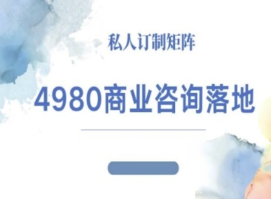 4980商业咨询师落地课程-ip运营高客单教程-站长V课