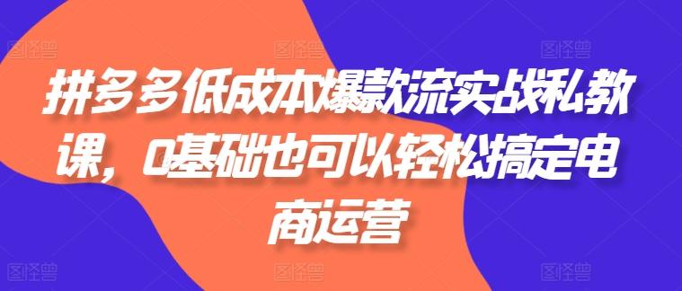 拼多多低成本爆款流实战私教课，0基础也可以轻松搞定电商运营-Zv头条