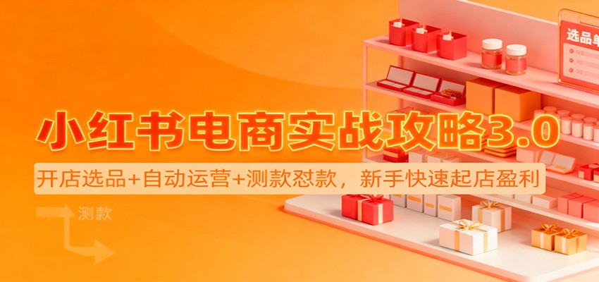 小红书电商实战攻略3.0：开店选品+自动运营+测款怼款，新手快速起店盈利-站长V课