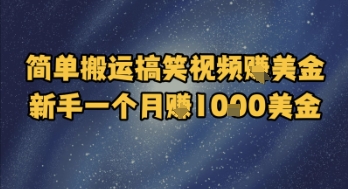 简单搬运搞笑视频挣美金，新手一个月入1k美金-Zv头条